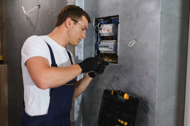 Best Electric Panel Repair  in Lakeville, MN
